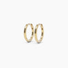 Small Hoop Earrings