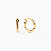 Classic Tube Hoop Earrings Small (pair) - Narcissus