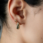 Bold Croissant Earrings (pair) - Narcissus