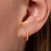 Diamond Pavé Hoops - Narcissus