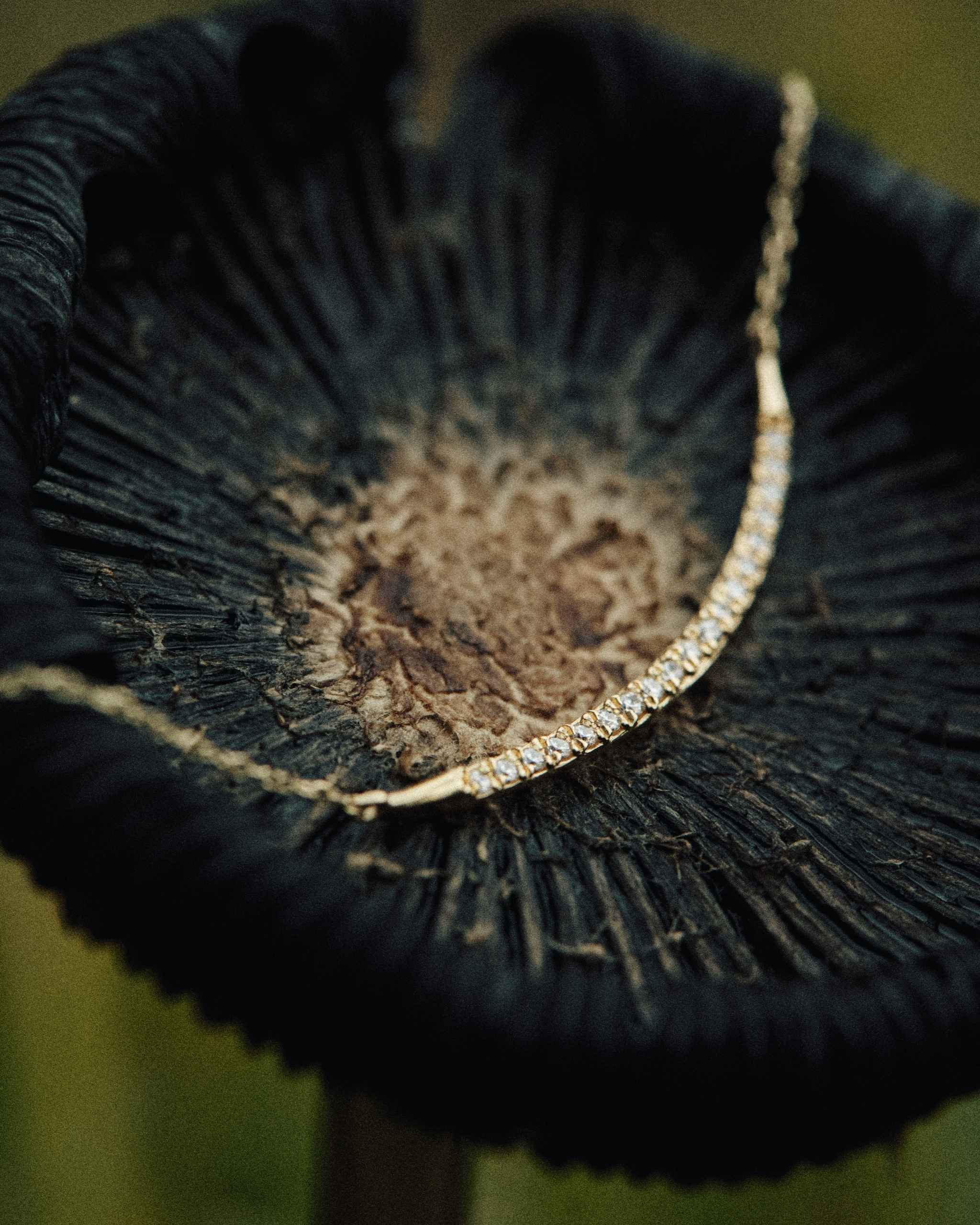 A gold chain necklace with a curved pendant set with dainty diamonds, draped across the dark textured surface of a black mushroom cap.