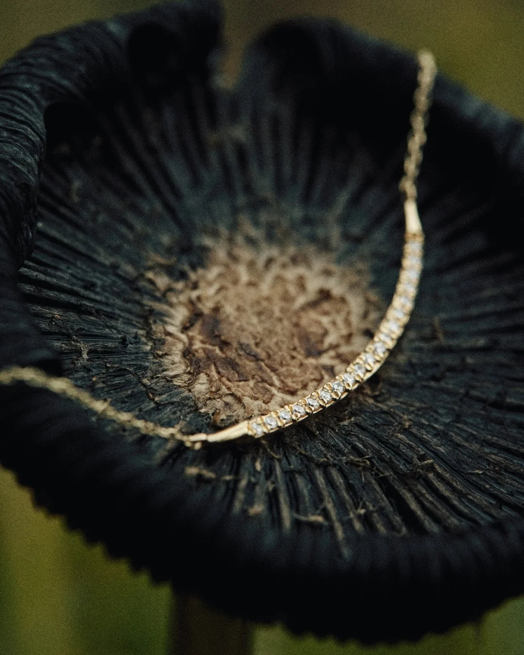 A close-up of a 14k gold diamond pendant necklace resting on the surface of a black mushroom. — Enea