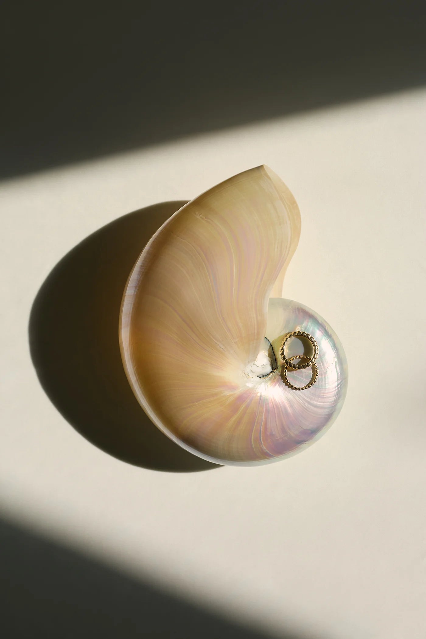 Two delicate gold rings placed on a shell, set on a beige background with dramatic shadows.