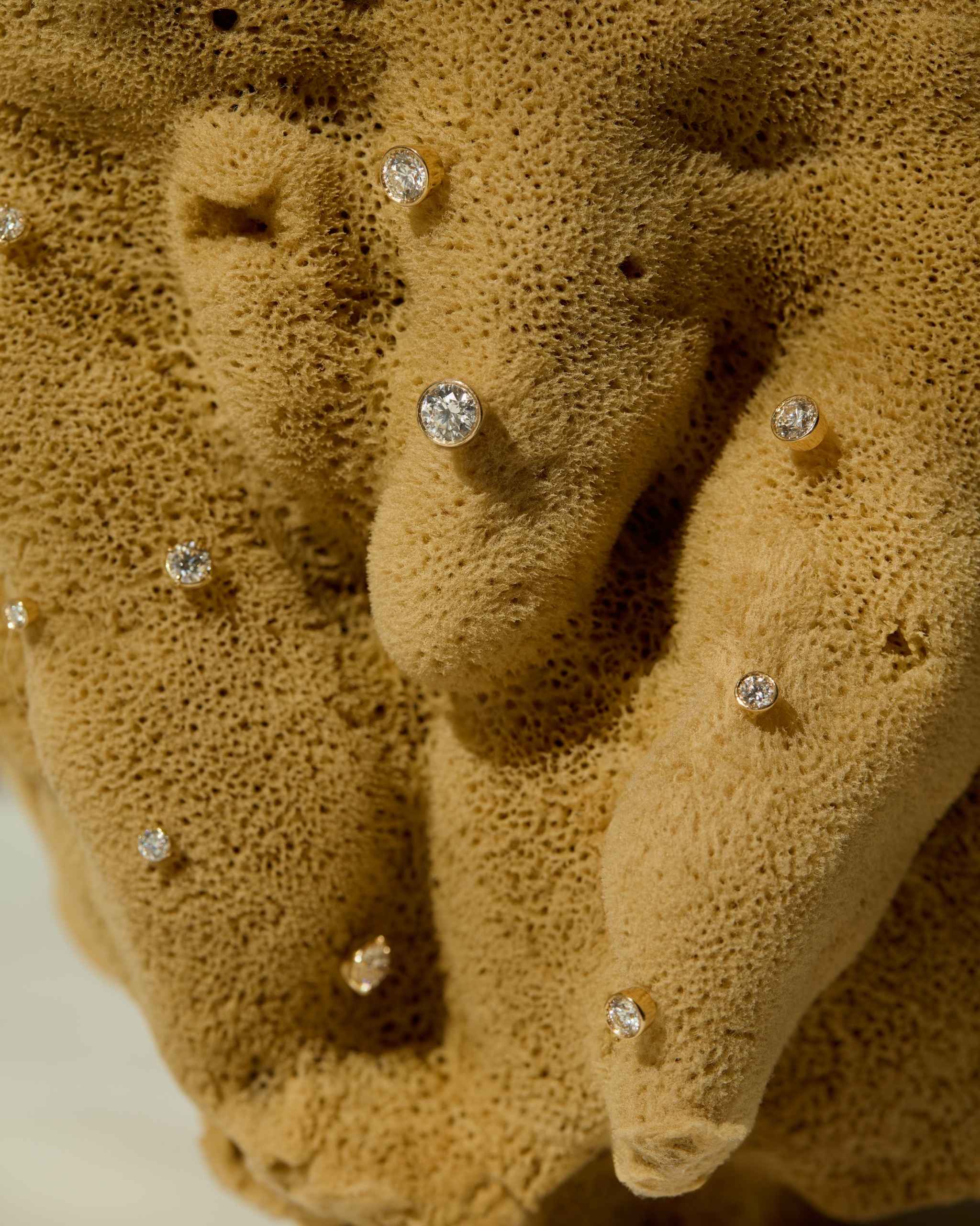 ENEA_PhosDiamondStuds_OnProp.jpg