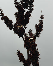Two gold rings, one a simple band with a round diamond at its center and the other  curved and set with diamonds, displayed on a dark read plant branch against a light gray background.