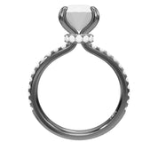 No purchase - test